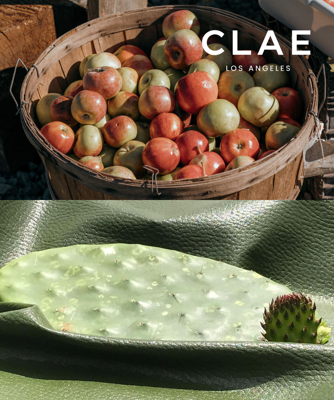 CLAE | MEN&WOMEN 「MADE OF APPLE & CACTUS」 | 株式会社リーガル