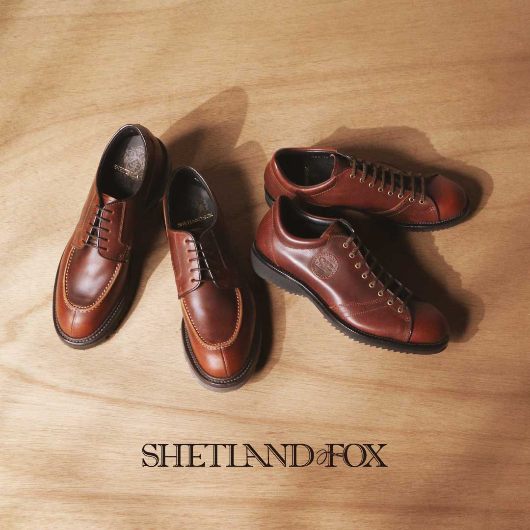 シェットランドフォックス 5.5 3033 - 靴