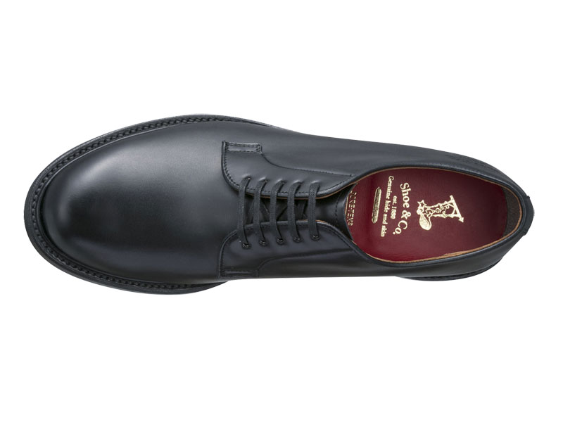 REGAL Shoe & Co. プレーントウ（GORE-TEX フットウェア）（814SDFK01 ...
