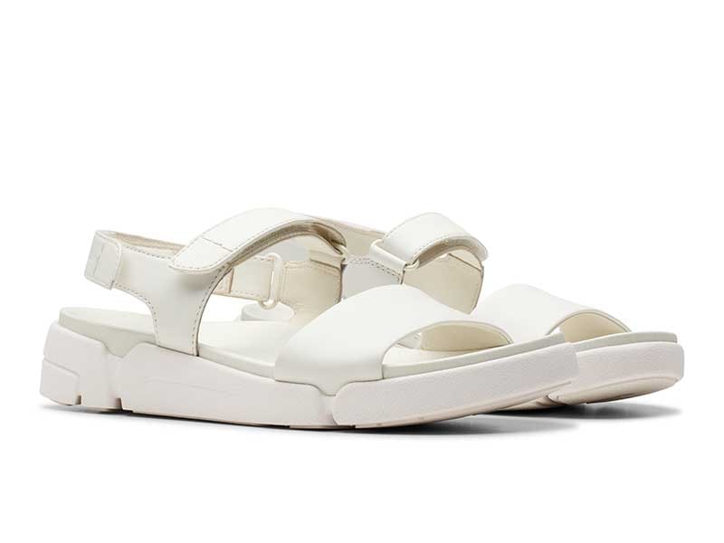 Trigenic2 See. トライジェニック2シー