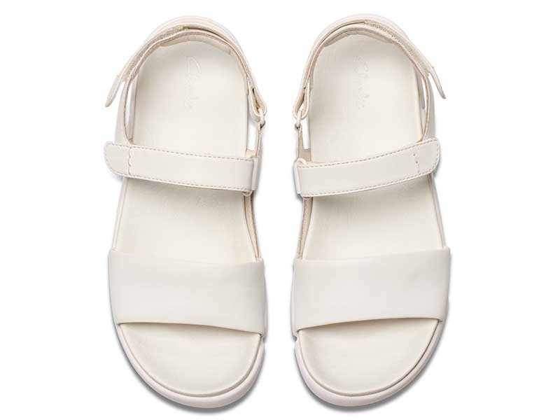 Trigenic2 See. トライジェニック2シー