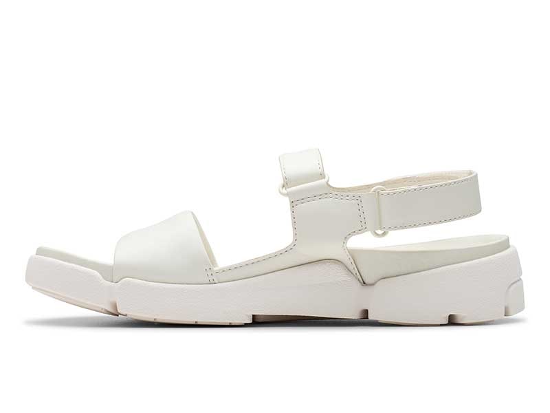 Trigenic2 See. トライジェニック2シー