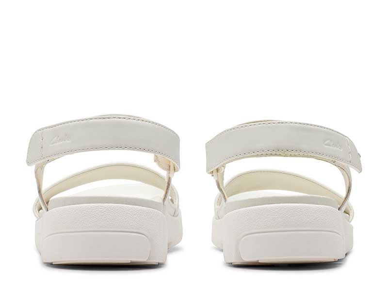 Trigenic2 See. トライジェニック2シー