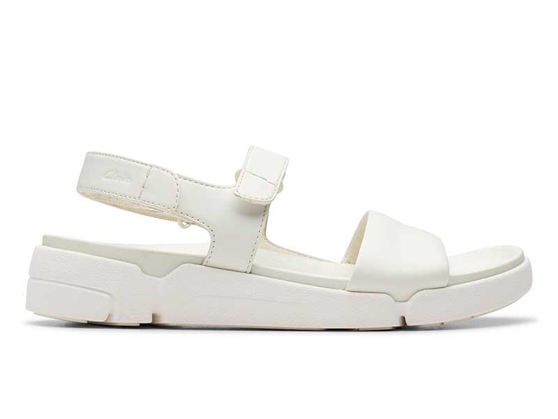 Trigenic2 See. トライジェニック2シー