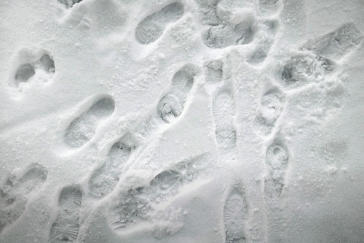 雪道